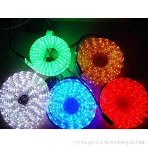LED Rope Neon Light for Outline Lighting Christmas Decoration Outdoor Santa Sleight